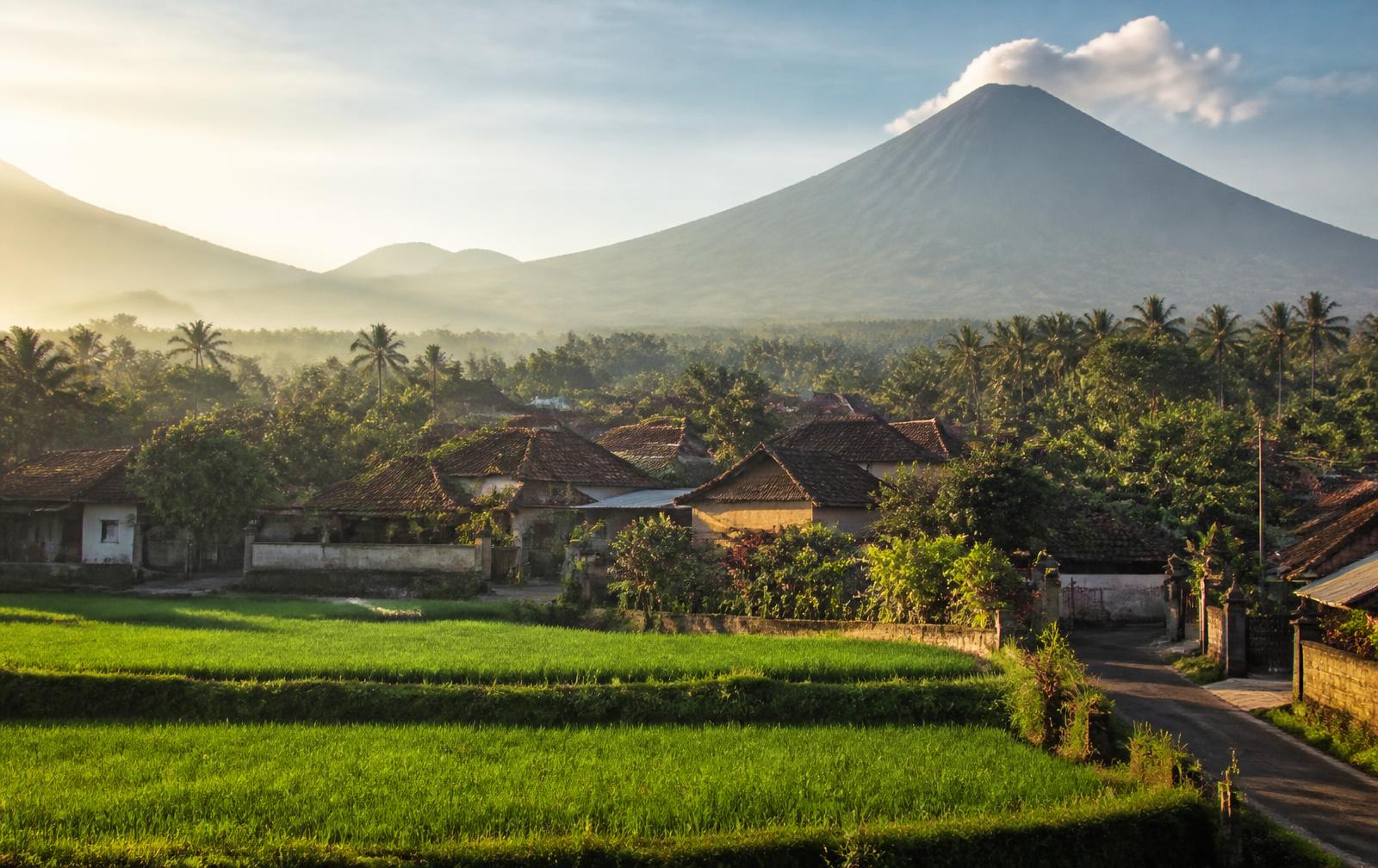 A rural Indonesian village among palm trees at soft morning light